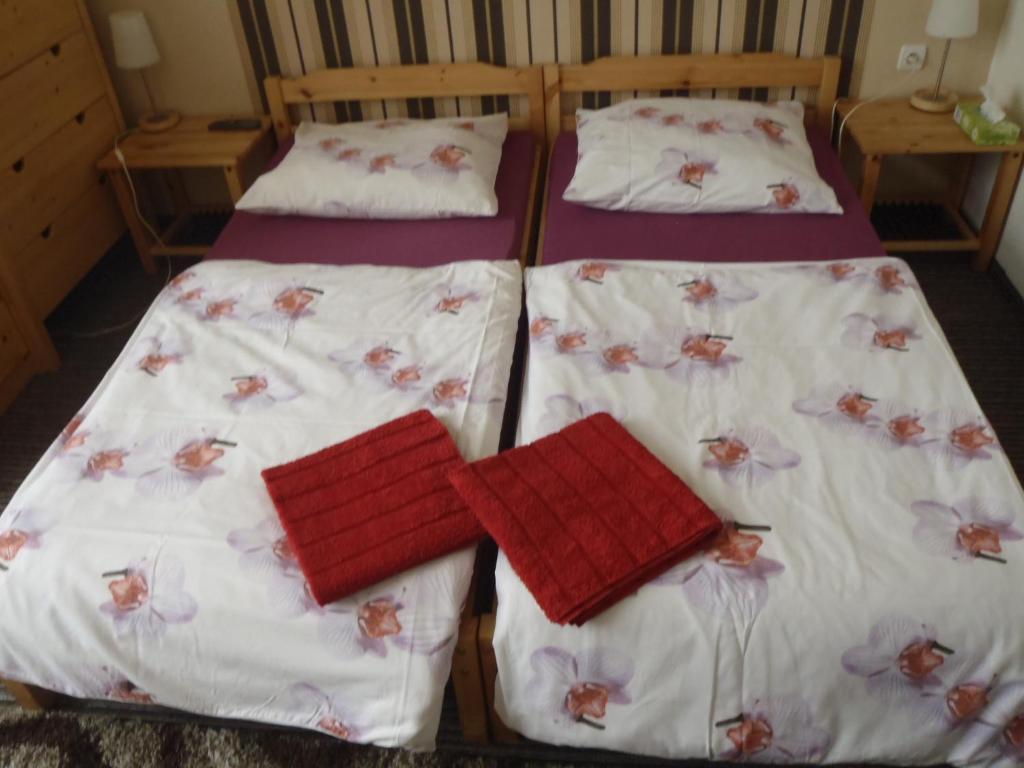 Hotel Green House Teplice Quarto foto